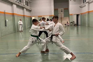 A.S.D. Shingitai Rogeno - Scuola di Karate Tradizionale image