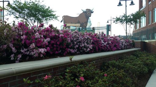 Stadium «Durham Bulls Athletic Park», reviews and photos, 409 Blackwell St, Durham, NC 27701, USA
