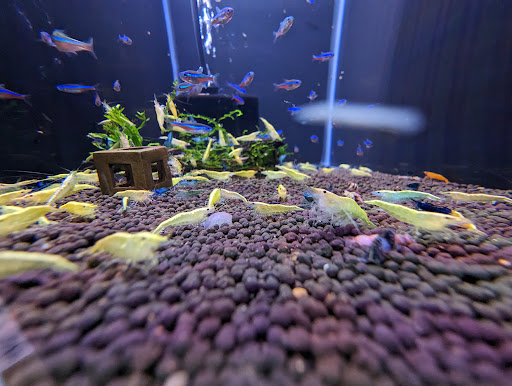 Aquarium & Reptile Depot image