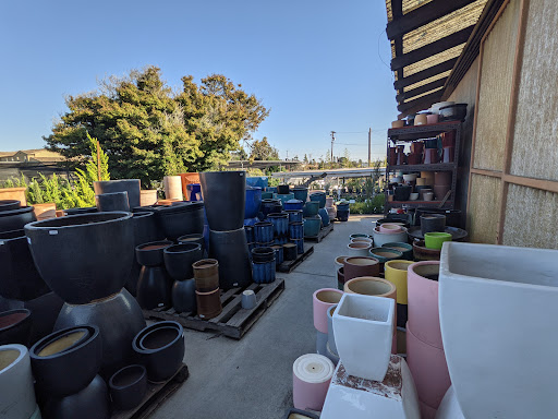 Plant Nursery «San Gabriel Nursery & Florist», reviews and photos, 632 S San Gabriel Blvd, San Gabriel, CA 91776, USA