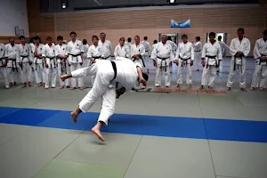 Jiushin Kan Malta - Jujutsu (Jiu-Jitsu) image