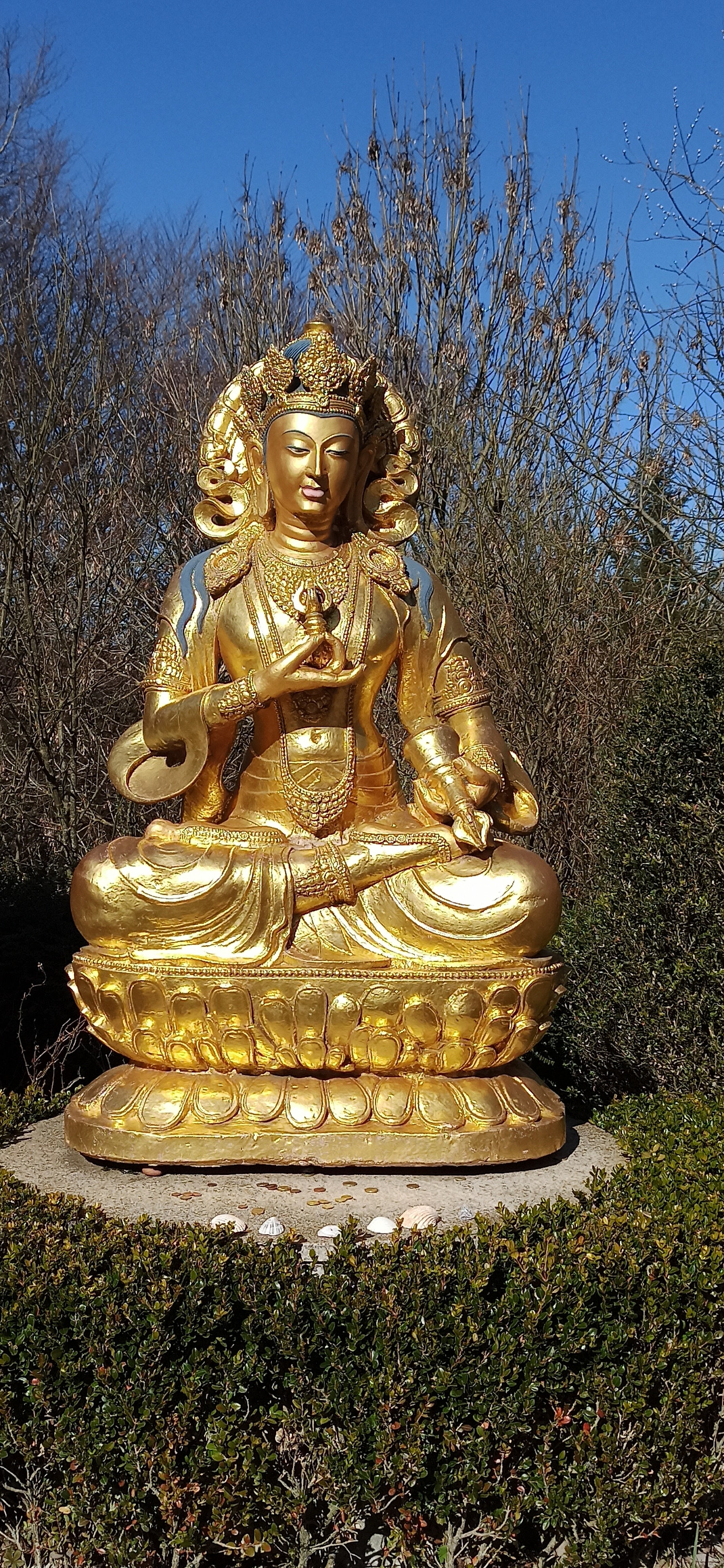 Photo n° 1 de l'avis de jean.o fait le 26/02/2023 à 17:58