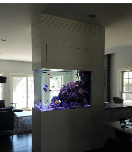 Pet Store «Sho Tank Aquariums», reviews and photos, 433 N Lake St, Mundelein, IL 60060, USA