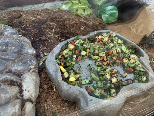 Pet Supply Store «Petco Animal Supplies», reviews and photos, 308 E Meighan Blvd, Gadsden, AL 35903, USA