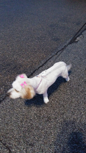 Pet Supply Store «PetSmart», reviews and photos, 7574 Voice of America Centre Dr, West Chester Township, OH 45069, USA