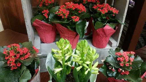 Grocery Store «Safeway», reviews and photos, 11201 Georgia Ave, Wheaton, MD 20902, USA