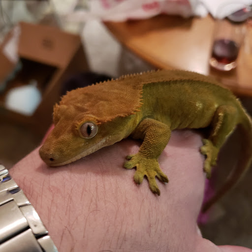 Pet Supply Store «Pet Supplies Plus», reviews and photos, 2912 Council Tree Ave #100, Fort Collins, CO 80525, USA