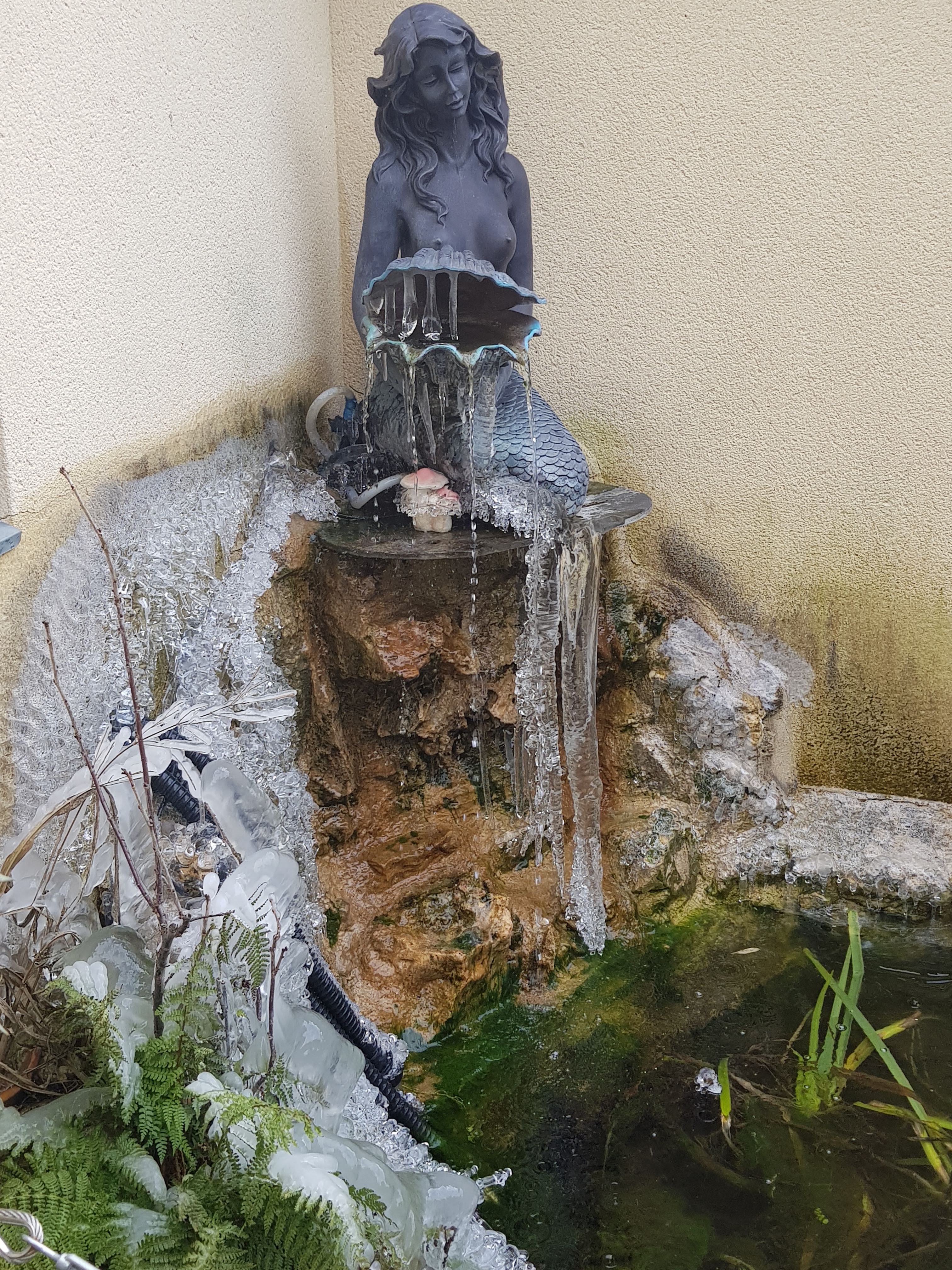 Photo n° 1 de l'avis de Sylvain.e fait le 25/06/2019 à 10:06
