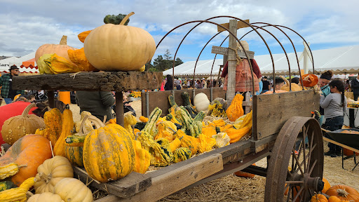 Pumpkin Patch «Spina Farms», reviews and photos, Santa Teresa Blvd, Morgan Hill, CA 95037, USA