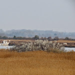 Photo n°3 de l'avis de Ilse.i fait le 29/03/2022 à 18:36 sur le  Hotel Caneo à Grado