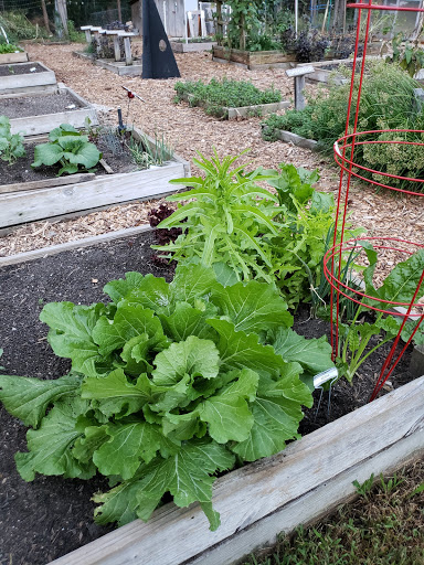 Community garden Durham