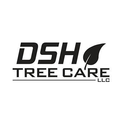 DSH Tree Care