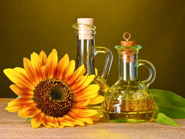 Sunflower Body Works 84014