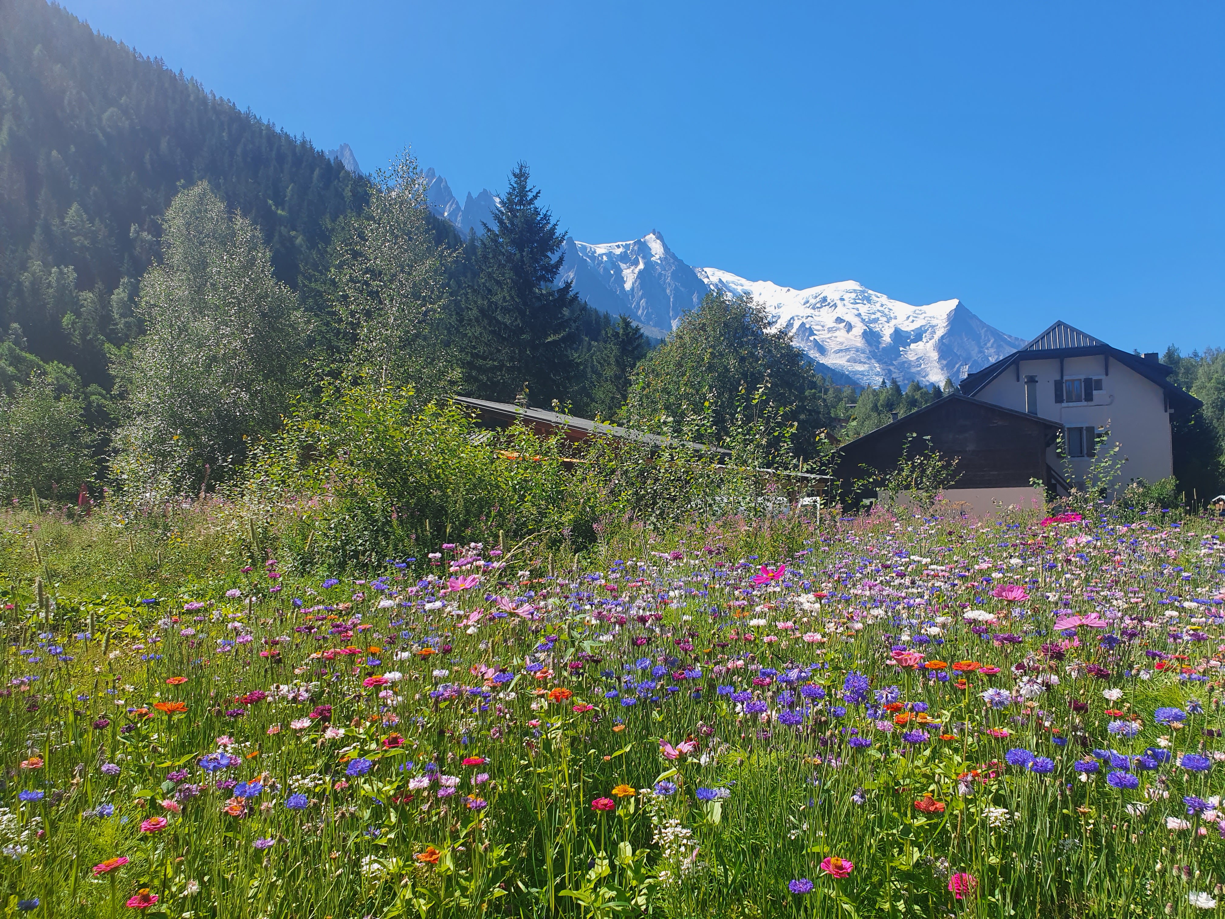 Photo n° 2 de l'avis de alexandra.u fait le 19/08/2022 à 14:22