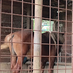 Photo n°6 de l'avis de Antonio.i fait le 14/08/2022 à 19:58 sur le  Agriturismo Caniloro à Lanciano