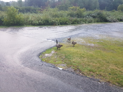 Resort «Six Flags Great Escape Lodge & Indoor Water park», reviews and photos, 89 Six Flags Drive, Queensbury, NY 12804, USA