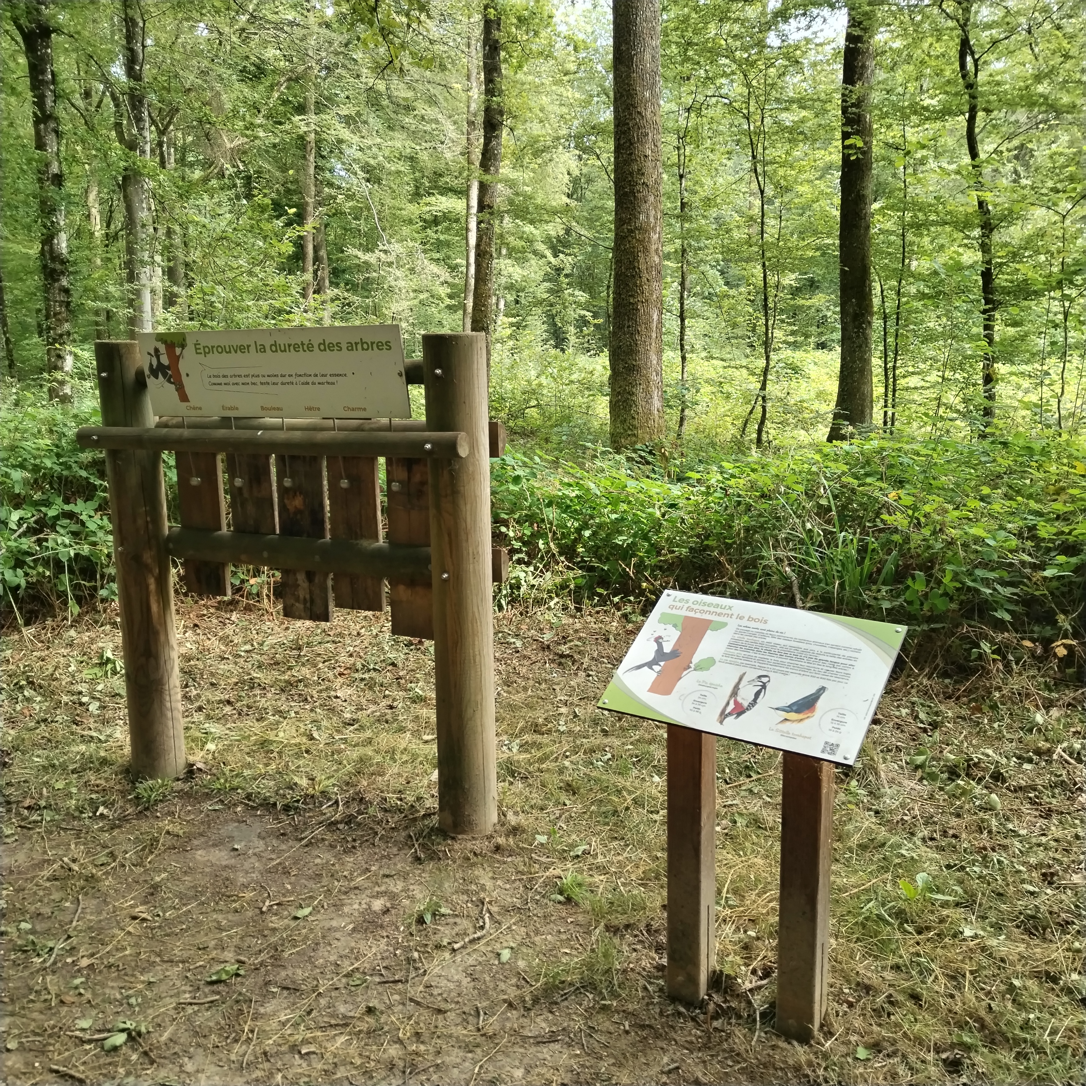 Photo n° 4 de l'avis de Maurice.O fait le 22/06/2022 à 15:49