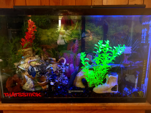 Pet Store «A to Z Pets», reviews and photos, 16010 SE Division St, Portland, OR 97236, USA