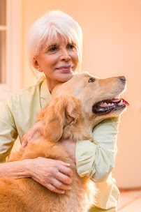 Interim HealthCare of Wayne - Photo 7 - Car repair in Wayne, NJ, Paterson