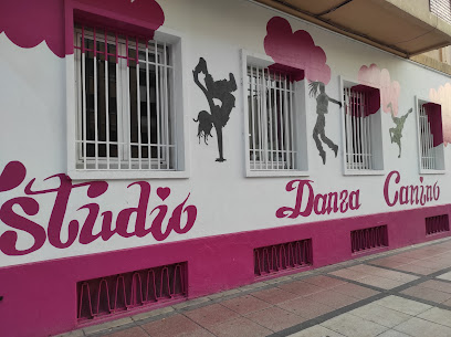 Estudio Danza Camino - Av. de D. Marcelo Celayeta, 10, 31014 Pamplona, Navarra, Spain