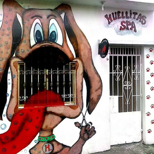 Opiniones de Spa Peluqueria Huellitas en Guayaquil - Spa