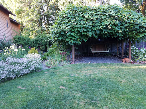 Vineyard «Olalla Vineyard & Winery», reviews and photos, 13176 Olalla Valley Rd SE, Olalla, WA 98359, USA