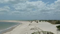 Praia Novo Plajı'in fotoğrafı vahşi alan