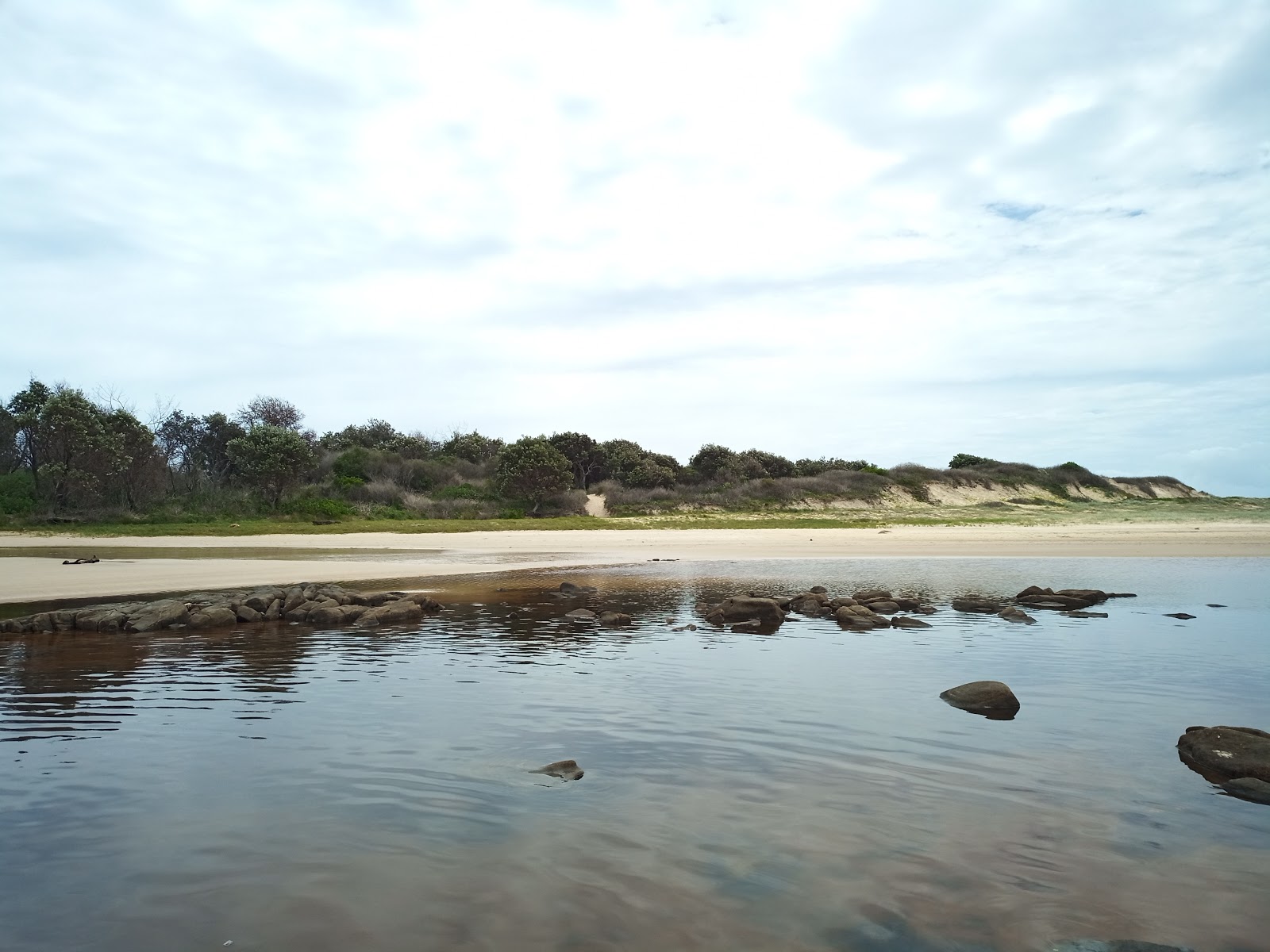 Foto de Plumbago Beach localizado em área natural