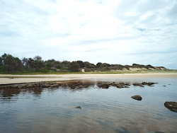 Zdjęcie Plumbago Beach położony w naturalnym obszarze