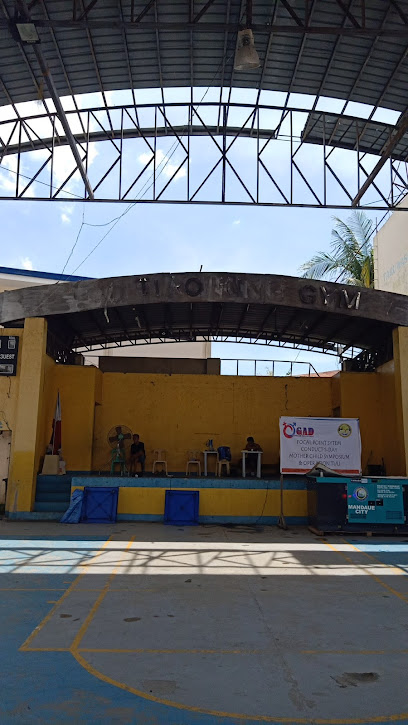 Co Tiao King Gym - 8WWR+PJ9, Mandaue City, Cebu, Philippines