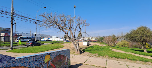 Punto Verde Plaza Rene Schneider