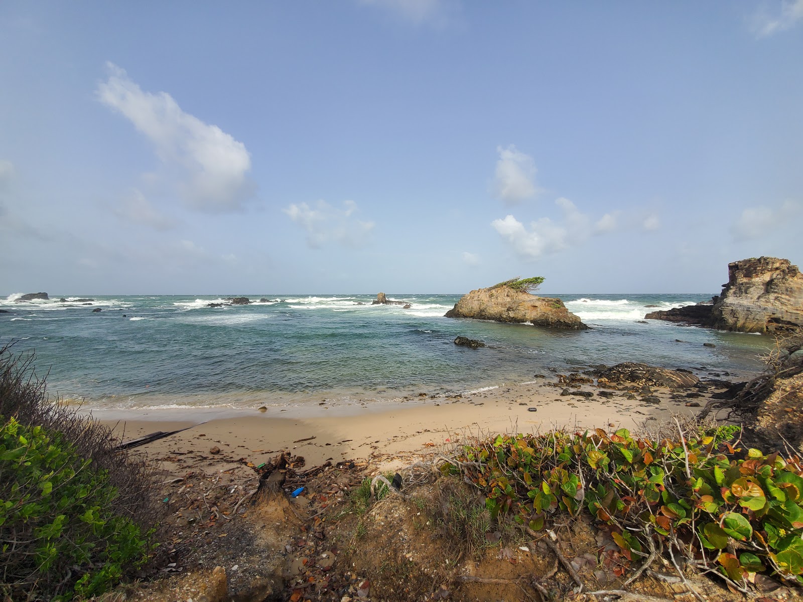 Photo de La Foret beach avec un niveau de propreté de très propre
