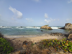 Photo de La Foret beach avec un niveau de propreté de très propre