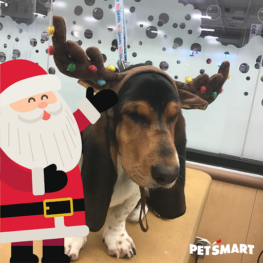Pet Supply Store «PetSmart», reviews and photos, 4013 Wisconsin 28, Kohler, WI 53081, USA