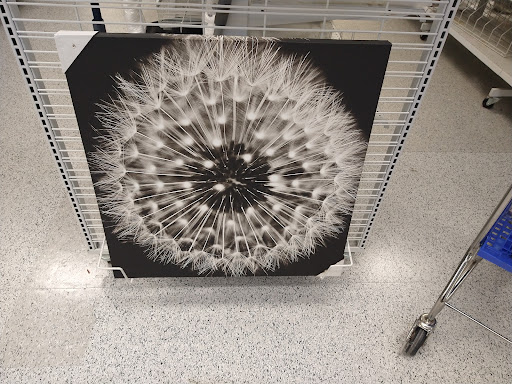 Clothing Store «Ross Dress for Less», reviews and photos, 2201 Preston Rd, Plano, TX 75093, USA