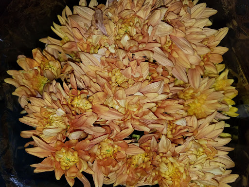 Grocery Store «Grocery Outlet Bargain Market», reviews and photos, 66 N Londonderry Square #300, Palmyra, PA 17078, USA