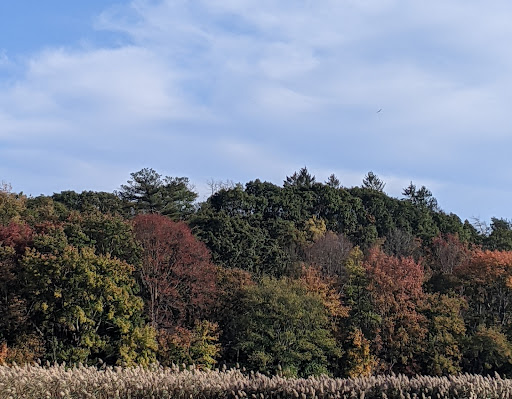 Park «Sweets Knoll State Park», reviews and photos, 1387 Somerset Ave, Dighton, MA 02715, USA