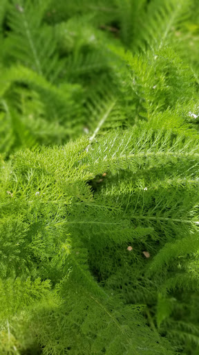 Park «Matzke Park», reviews and photos, 13110 Jones Rd, Houston, TX 77070, USA