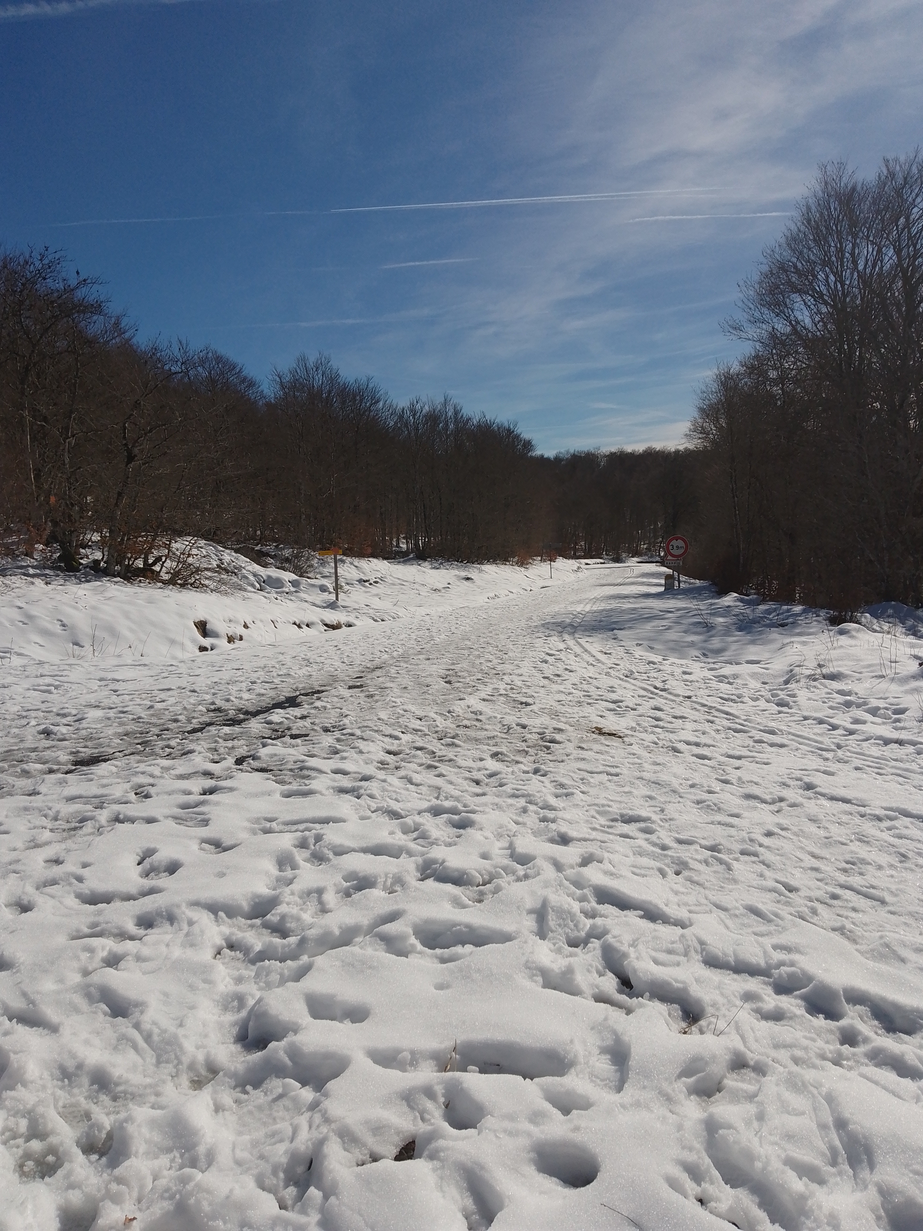 Photo n° 2 de l'avis de rt.r fait le 14/02/2024 à 18:32