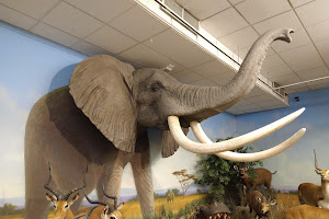 Northeastern Nevada Museum