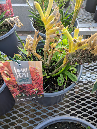 Hardware Store «Orchard Supply Hardware», reviews and photos, 2245 Gellert Blvd, South San Francisco, CA 94080, USA