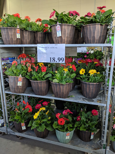 Warehouse store «Costco Wholesale», reviews and photos, 750 23rd Ave E, West Fargo, ND 58078, USA