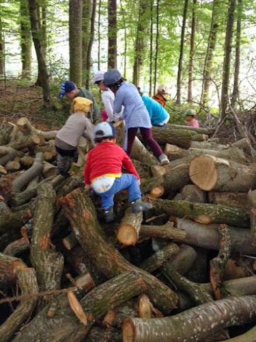 Rezensionen über kiana KITA Winterthur in Winterthur - Kindergarten