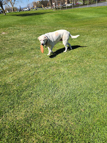 Frear Park Municipal Golf Course by null