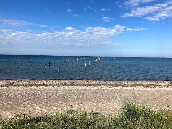 Albuen Beach