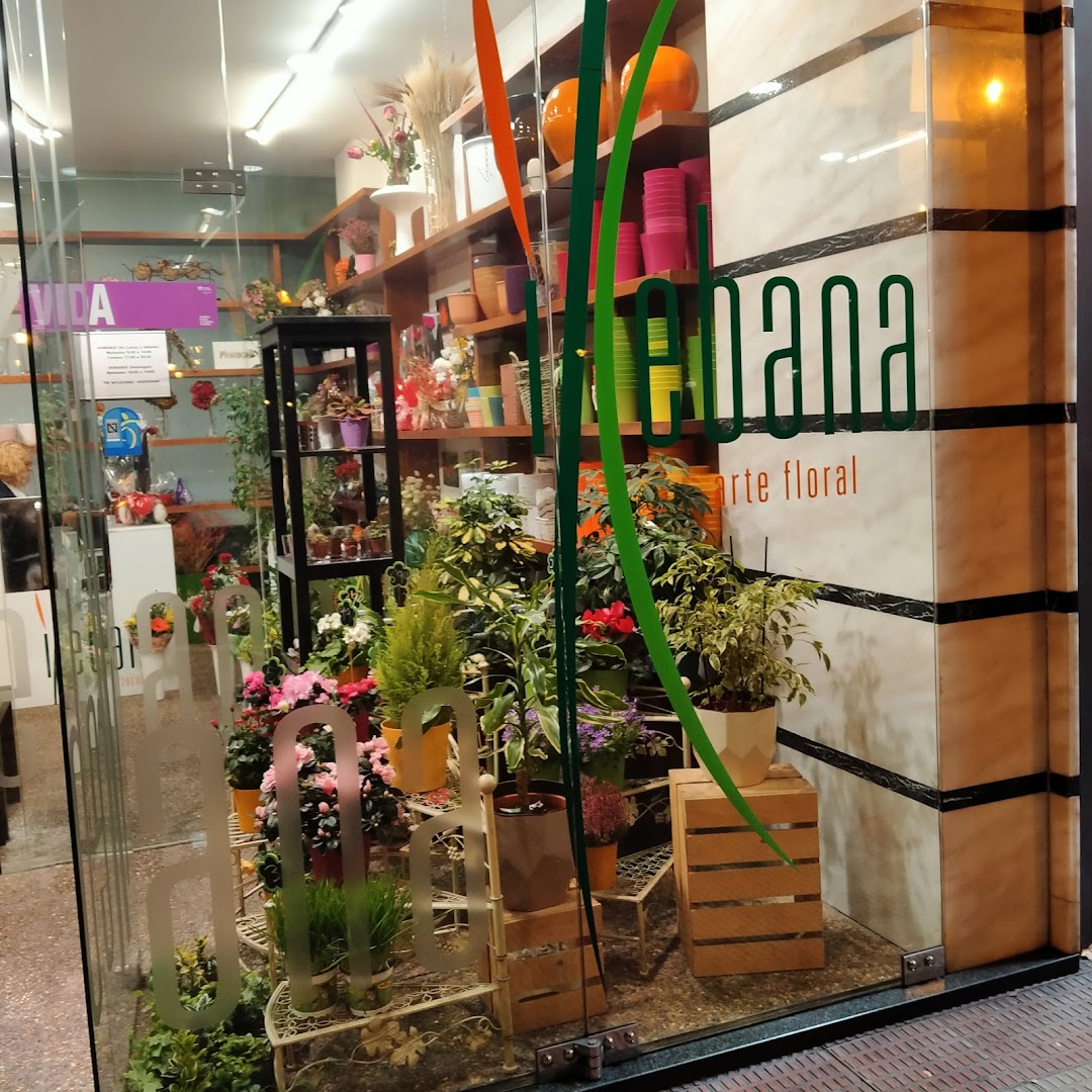 Floristería Ikebana