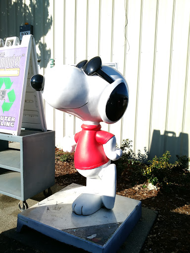 Florist «Sequoia Floral International», reviews and photos, 3245 Santa Rosa Ave, Santa Rosa, CA 95407, USA