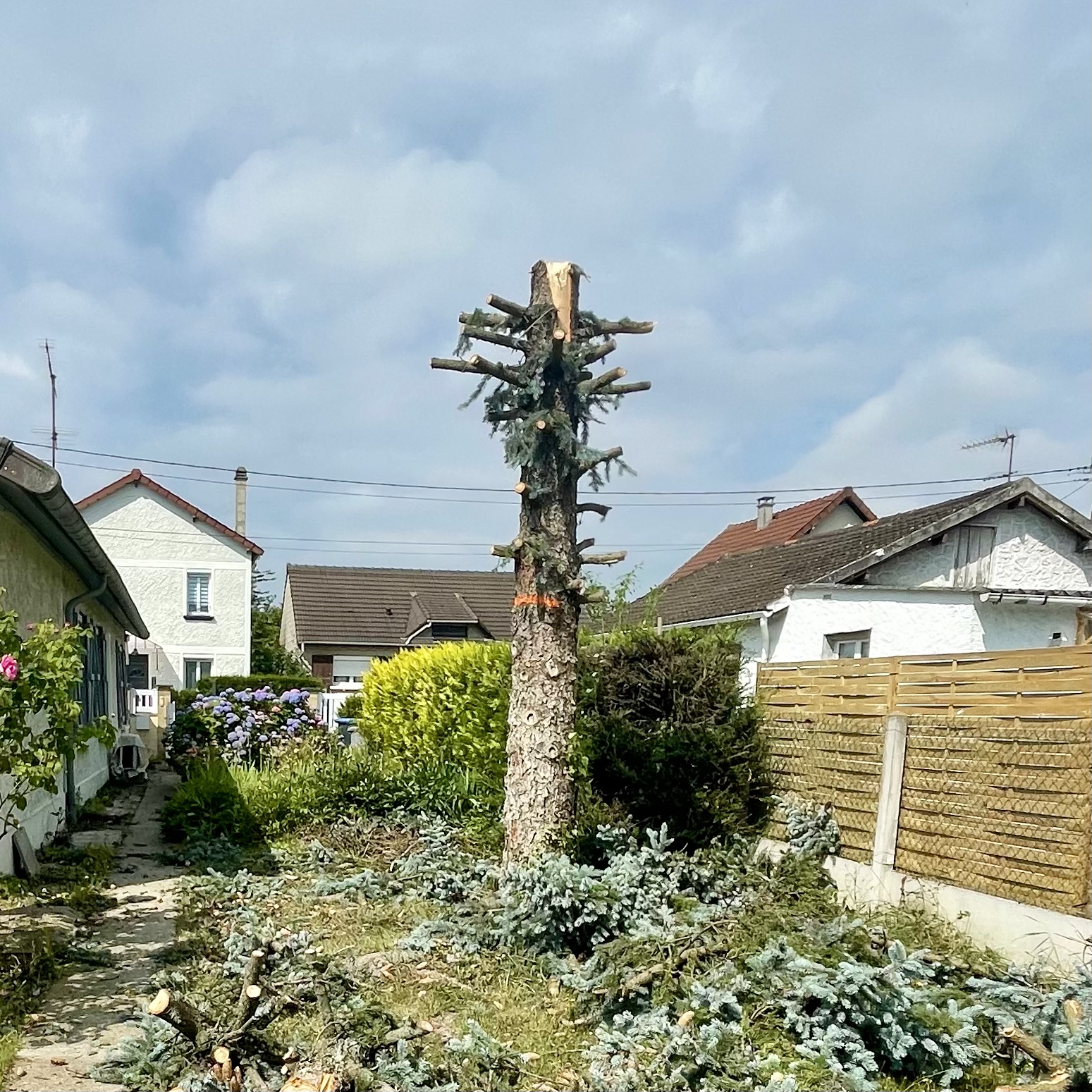 Photo n° 2 de l'avis de Gabrillargues.a fait le 21/06/2022 à 11:13