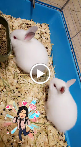 Tropical Fish Store «Caribbean Pets», reviews and photos, 298 Central Ave, Jersey City, NJ 07307, USA