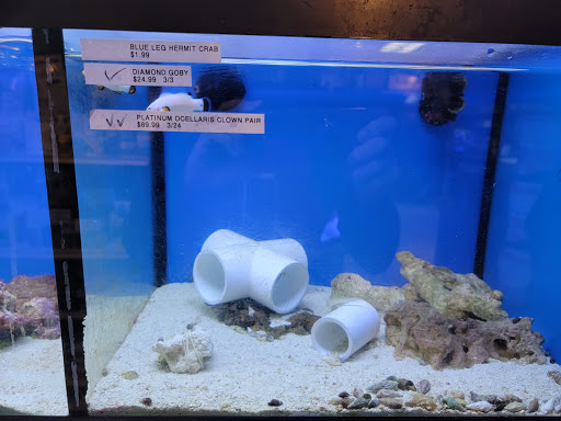 Pet Store «Aquarium Designs», reviews and photos, 15229 San Pedro Ave, San Antonio, TX 78232, USA